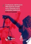 Confluencia del Derecho internacional privado con el Derecho de la propiedad intelectual