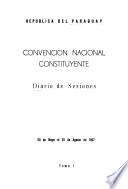 Convención Nacional Constituyente