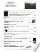 Correo del maestro