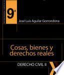 Cosas, bienes y derechos reales