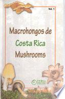 Costa Rica mushrooms