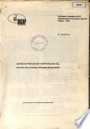 Costos De Produccion Y Rentabilidad Del Culivo De La Palma Africana En Ecuador 