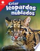 Criar leopardos nublados (Raising Clouded Leopards) 6-Pack