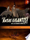 Criptozoología Oxlack - Las Ratas Gigantes de la Ciudad de México