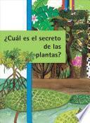 Cuales son los secretos de las plantas? / The Hidden Secrets of Plants