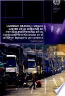 Cuestiones laborales y sociales surgidas de los problemas de movilidad transfronteriza de los conductores internacionales en el sector del transporte por carretera