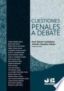 Cuestiones penales a debate