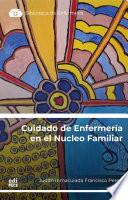 Cuidado de Enfermería en el Núcleo Familiar: Reflexiones Teóricas y Aplicación de Casos