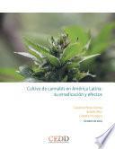 Cultivo de cannabis en América Latina, su erradicación y efectos