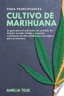 CULTIVO DE MARIHUANA PARA PRINCIPIANTES