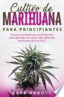 Cultivo De Marihuana Para Principiantes