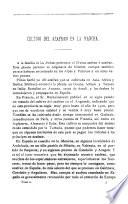 Cultivo del azafrán en la Mancha. 1.