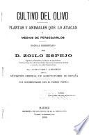 Cultivo del olivo