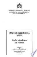 Curso de derecho civil: Los derechos reales y la posesión
