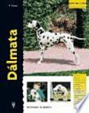 Dálmata