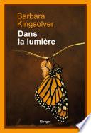 Dans la lumière