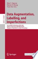 Data Augmentation, Labelling, and Imperfections