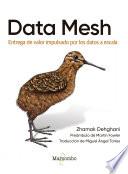 Data Mesh
