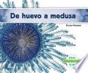 De huevo a medusa (Becoming a Jellyfish)
