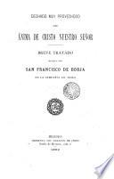 Dechado muy provechoso del ánima de Cristo Nuestro Señor