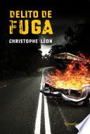 Delito de fuga