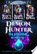 Demon Hunter in Hiding Boxed Set: A Fast-Paced Demon Hunter Urban Fantasy Adventure - Books 1-3