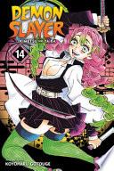 Demon Slayer: Kimetsu no Yaiba, Vol. 14