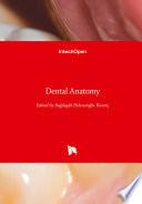 Dental Anatomy