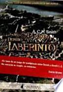 Dentro del laberinto