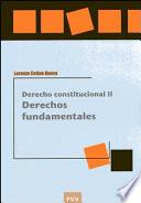 Derecho constitucional II