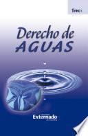 Derecho de Aguas Tomo I