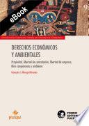 Derechos económicos y ambientales