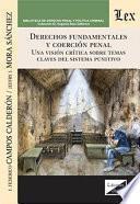 Derechos fundamentales y coerción penal.