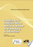 Desafíos de la rendición de los medios de prueba en el proceso y su valoración
