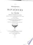 Description des ravageurs de la vigne