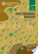 DESCUBRIENDO los BOSQUES