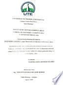 DETERMINACIÓN DE LA EFICIENCIA DE EXTRACTOS BOTÁNICOS PARA EL CONTROL DEL RASPADOR DEL FRUTO Demotispa elaeicola Aslam EN EL CULTIVO DE PALMA AFRICANA Elaeis guineensis Jacq. LA CONCORDIA, 2009.