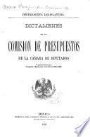 Dictamenes de la Comision de presupuestos de la Cámara de diputados, y proyectos de las leyes de ingresos y egrésos para el año fiscal de 1894 á 1895