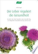 Die Leber reguliert die Gesundheit