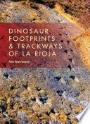 Dinosaur Footprints & Trackways of La Rioja