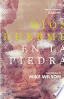 Dios duerme en la piedra
