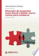 Dirección de proyectos entre David y Goliat: marco común para colaborar