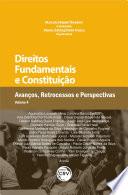 Direitos fundamentais e constituição