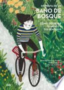Disfruta de Un Baño de Bosque: Cómo Despejar Tu Mente Y Tus Sentidos