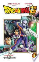 Dragon Ball Super no 10