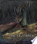 Dragones