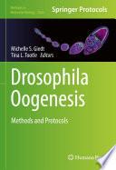 Drosophila Oogenesis