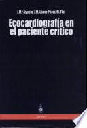Ecocardiografía en el paciente crítico