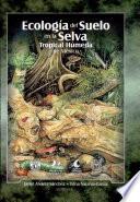 Ecología del suelo en la selva tropical húmeda de México