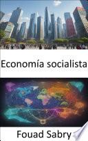 Economía socialista